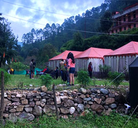 budget Tents in dhanaulti