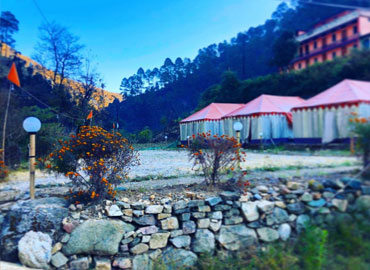 Camping at Dhanaulti