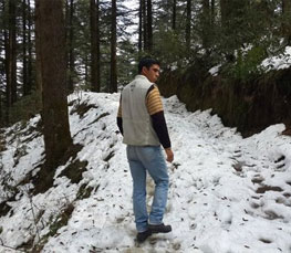 trekking in Kanatal